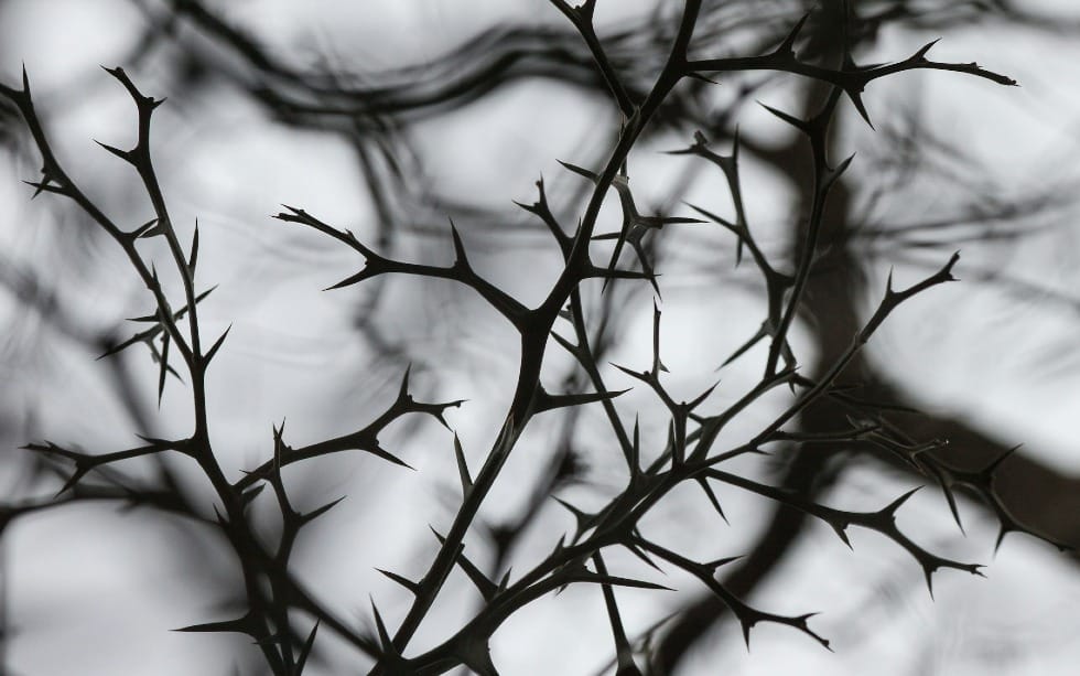Why Do I Have This Thorn? (2 Corinthians 11-13)