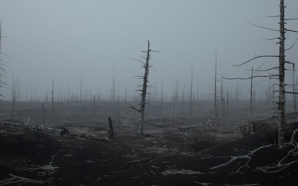 What the Epstein Files Teach Us About Our Need for God