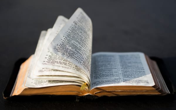 The Bible in One Word (Psalm 119:105)