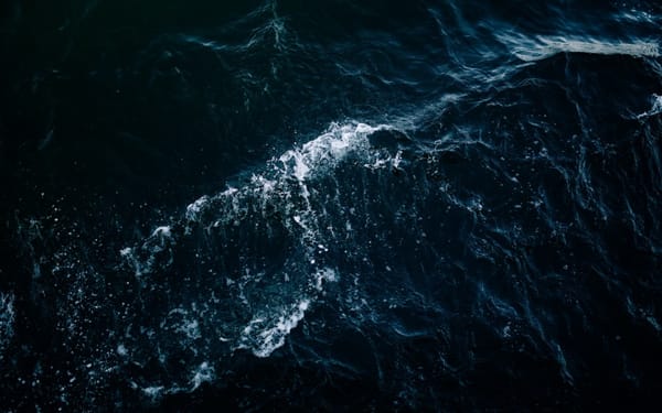 The Great Flood (Genesis 6-9)