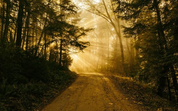 What Does God Expect of Me? (1 John 1)