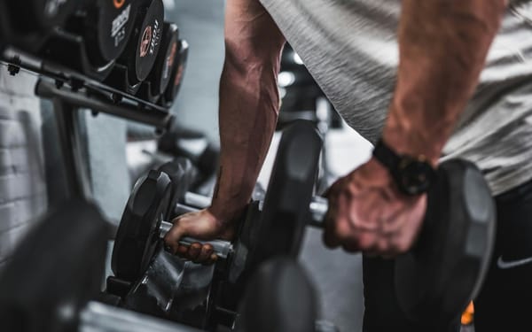 Is Physical Fitness My Idol?