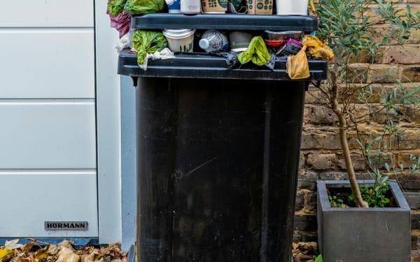 It's Time To Take Out the Trash