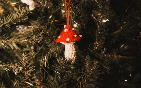 Do You Feel Tired and Lonely This Christmas Season?