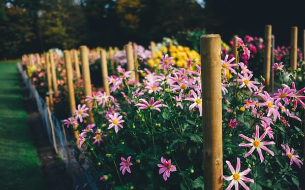 Are You Growing Fake Flowers?