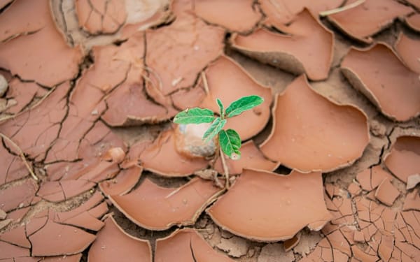 Why Does God Choose to Live Inside Broken People?